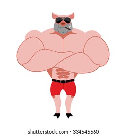 Strong pig bodybuilder with huge muscles. Farm animal athlete. Powerful animal with  cigar.