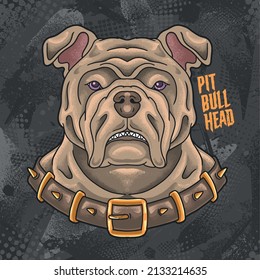 strong pitbull head angry with collar