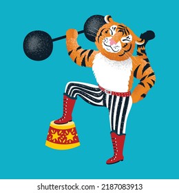 A strong tiger in a vintage costume performs in a circus. Vector illustration