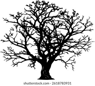 Strong Tree Silhouette with Wide Branches and Thick Trunk | Black and White Tree Vector Image 