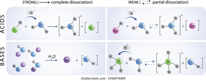 strong and weak acids and bases, partial dissociation and complete dissociation, vector illustration infographic