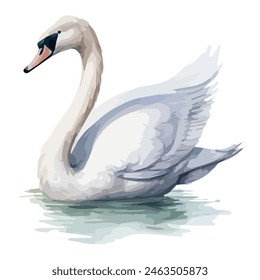 Strong white painting in water: beautiful and relaxing, with white feathers and beautiful eyes. Vector illustration on white background