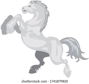 Strong White Stallion standing - Vector