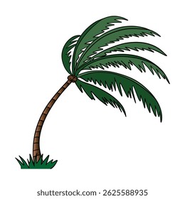 A strong wind blows on a palm tree. Island flora plant element