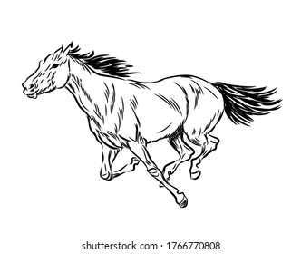 Strong, young, beautiful horse in motion. Freehand drawing vector graphics