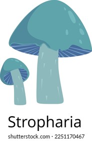 Stropharia icon. Forest mushroom. Natural organic fungus
