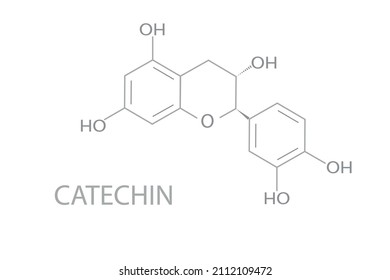 Structural chemical formula of catechin molecule (natural phenol and antioxidant).