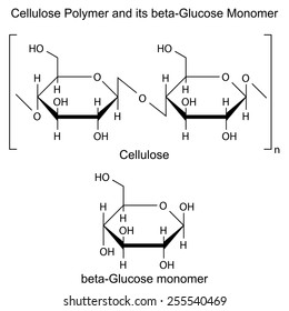 Structural chemical formula of cellulose polymer and glucose monomer, 2d illustration, vector, eps 8