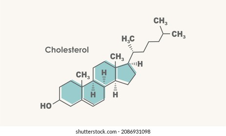 Structural chemical formula of cholesterol. Infographics illustration.