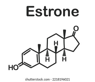 Structural chemical formula of estrone isolated on white background.