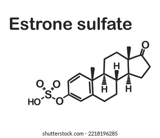 Structural chemical formula of estrone sulfate isolated on white background.