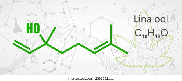 Structural chemical formula of linalool. Linalool is an aromatic terpene, the major component of essential oils, used in floral fragrances.