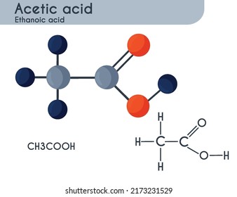 Structural chemical formula and model of acetic acid molecule,  isolated, vector illustration
