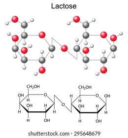 Structural chemical formula and model of  lactose, 2d and 3d vector, isolated on white, eps 8