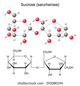 Structural chemical formula and model of sucrose - saccharose, 2d and 3D illustration, isolated  vector, eps 8