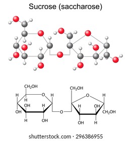 Structural chemical formula and model of sucrose - saccharose, 2D and 3D illustration, vector, isolated, ball and stick style, eps 8