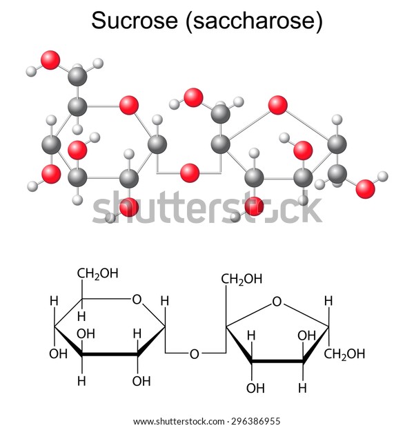 Structural chemical formula and model of sucrose -\
saccharose, 2D and 3D illustration, vector, isolated, ball and\
stick style, eps 8