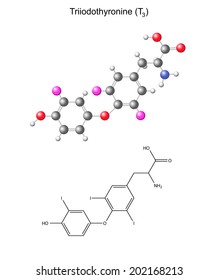 Structural chemical formula and model of triiodothyronine - thyroid hormone , t3, 2D illustration,  isolated on white background, vector, eps 8