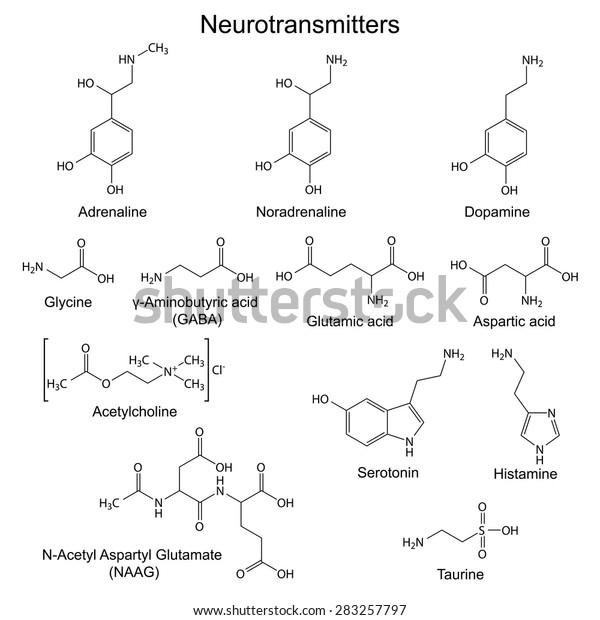 Structural Chemical Formulas Basic Neurotransmitters 2d Stock Vector ...