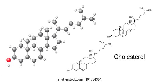 Structural chemical formulas and model of cholesterol (cholesterine), 2D & 3D Illustration, vector, isolated on white background, eps8