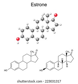Structural chemical formulas and model of estrone molecule - female sex hormone, 2D & 3D Illustration,  isolated on white background, vector, eps8