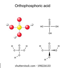 Structural chemical formulas and model of orthophosphoric acid (E338), 2D and 3D illustration, isolated on white background, balls and sticks, vector, eps 8