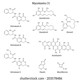 Structural chemical formulas of mycotoxins: ochratoxins, zearalenone, zearalenol, zeranol, aurofuzarin, patulin, moniliformin, 2d illustration,  isolated on white background, vector, eps 8