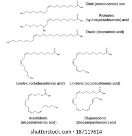 Structural Chemical Formulas Unsaturated Fatty Acids Stock Vector ...