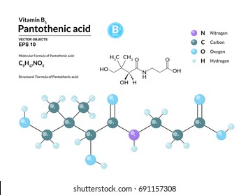 Structural chemical molecular formula and model of pantothenic acid. Atoms are represented as spheres with color coding isolated on background. 2d or 3d visualization and skeletal formula. Vector