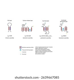 Structural Comparison of Ion Channel Receptor Types: Ionotropic glutamate, cys-loop, calcium release and P2X type with Membrane-Spanning and Pore-Forming Regions