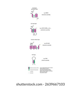 Structural Comparison of Ion Channel Receptor Types: Ionotropic glutamate, cys-loop, calcium release and P2X type with Membrane-Spanning and Pore-Forming Regions