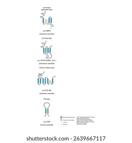 Structural Comparison of Ion Channel Receptor Types: Ionotropic glutamate, cys-loop, calcium release and P2X type with Membrane-Spanning and Pore-Forming Regions