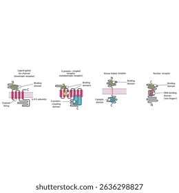 Comparação Estrutural das Principais Famílias de Receptores - Canais de Íons Ligados, Receptores Acoplados a Proteínas G, Receptores Ligados à Kinase e Receptores Nucleares