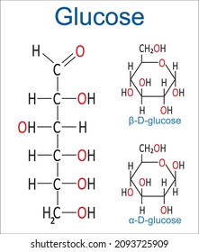 Structural formula of alpha and beta glucose vector and high quality image 