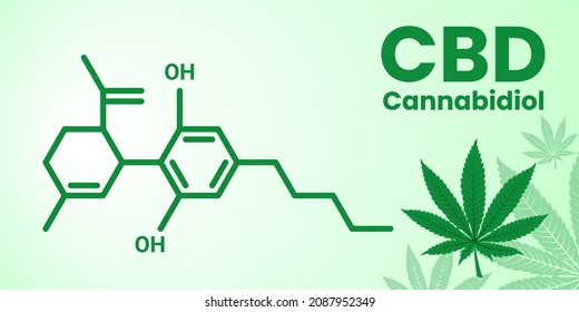 The structural formula of Cannabidiol CBD - a chemical in the Cannabis sativa plant, also known as cannabis or hemp. Vector banner of a formula with title and marihuana leaf on the light background.