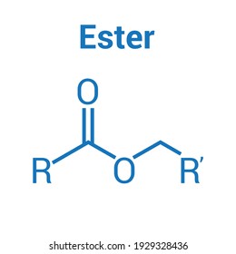 the structural formula of ester