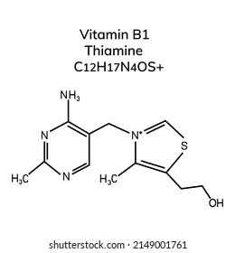 Structural Formula Vitamin B1 On White Stock Vector (Royalty Free ...