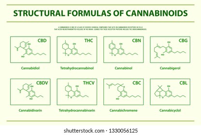 Structural Formulas of Main Natural Cannabinoids horizontal infographic illustration about cannabis as herbal alternative medicine and chemical therapy, healthcare and medical science vector.