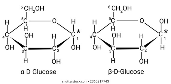 Struktur von α-D-Glucose und β-D-Glucose