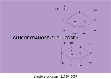Estructura de la ilustración del vector alfa glucopyranosa d-glucosa