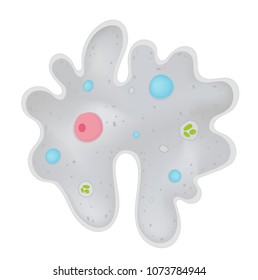 Structure of Amoeba