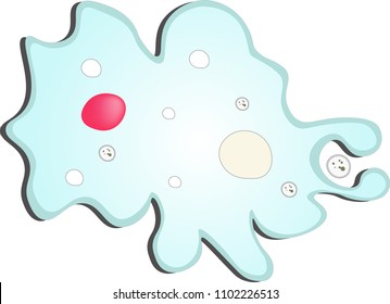 Ameba の画像 写真素材 ベクター画像 Shutterstock