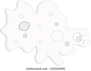 Structure of Amoeba