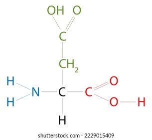 The structure of Aspartic acid. Aspartic acid is an amino acid that has  an acidic side chain.