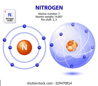 structure of atom Nitrogen. Vector 