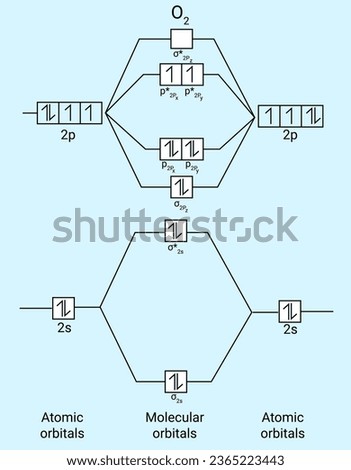Structure of Atomic and Molecular orbitals