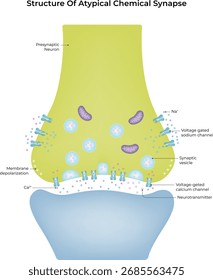 Estrutura de Ilustração de Vetor de Sinapse Química Atípica