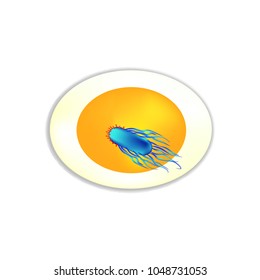The structure of the bacteria Salmonella. The introduction of salmonella into a chicken egg. Infographics. Vector illustration on isolated background.