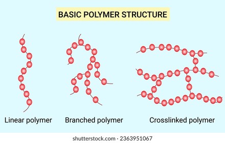 The structure of Basic Polymer Structure