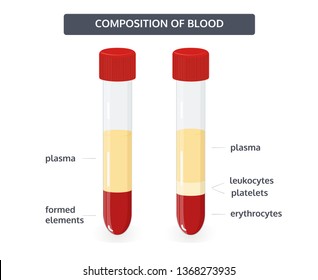 The structure of blood in test tubes, formed element of blood. Vector illustration.